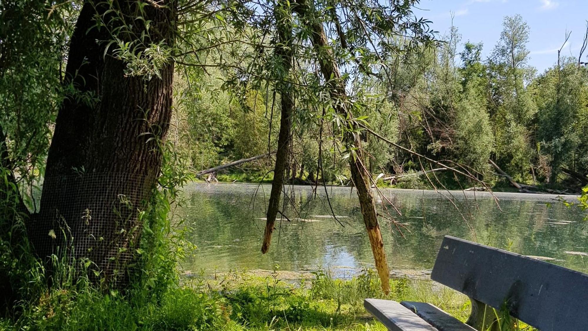Guesthouse De Wissen Dilsen Stokkem Bagian luar foto