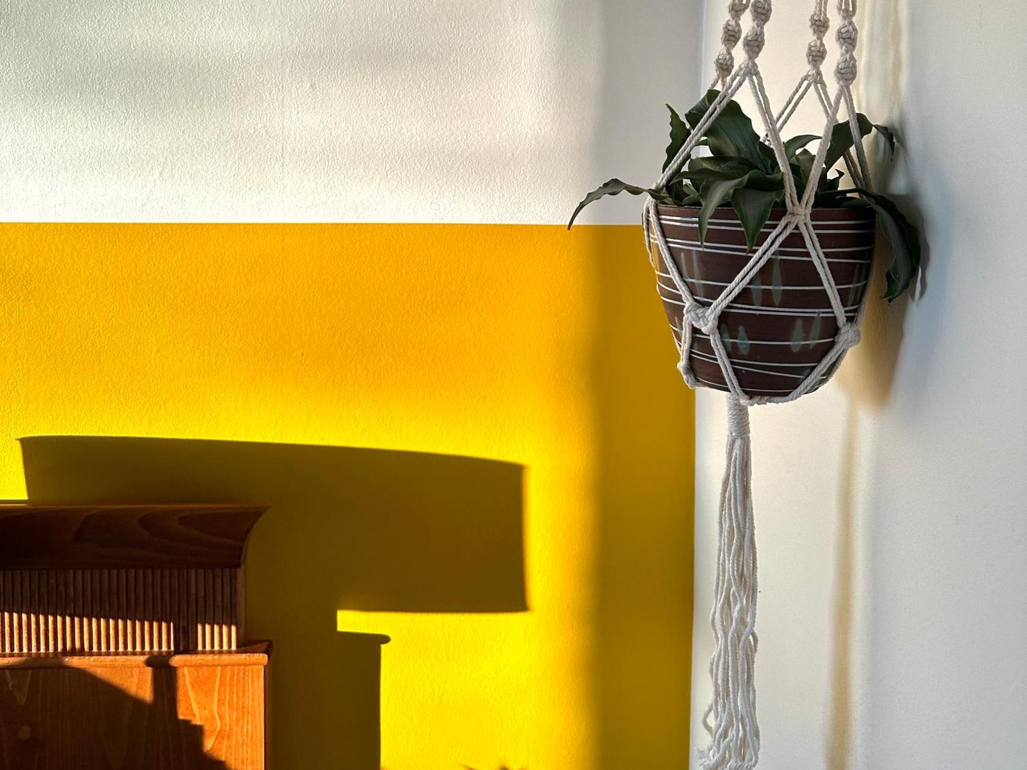 Guesthouse De Wissen Dilsen Stokkem Bagian luar foto
